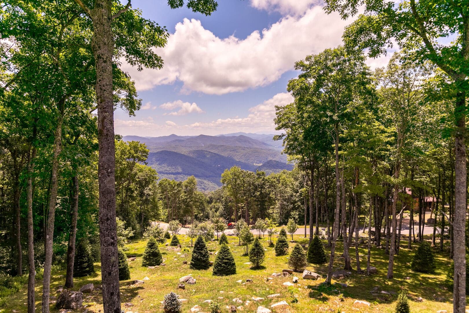 Phoenix at Eagles Nest - Image 71