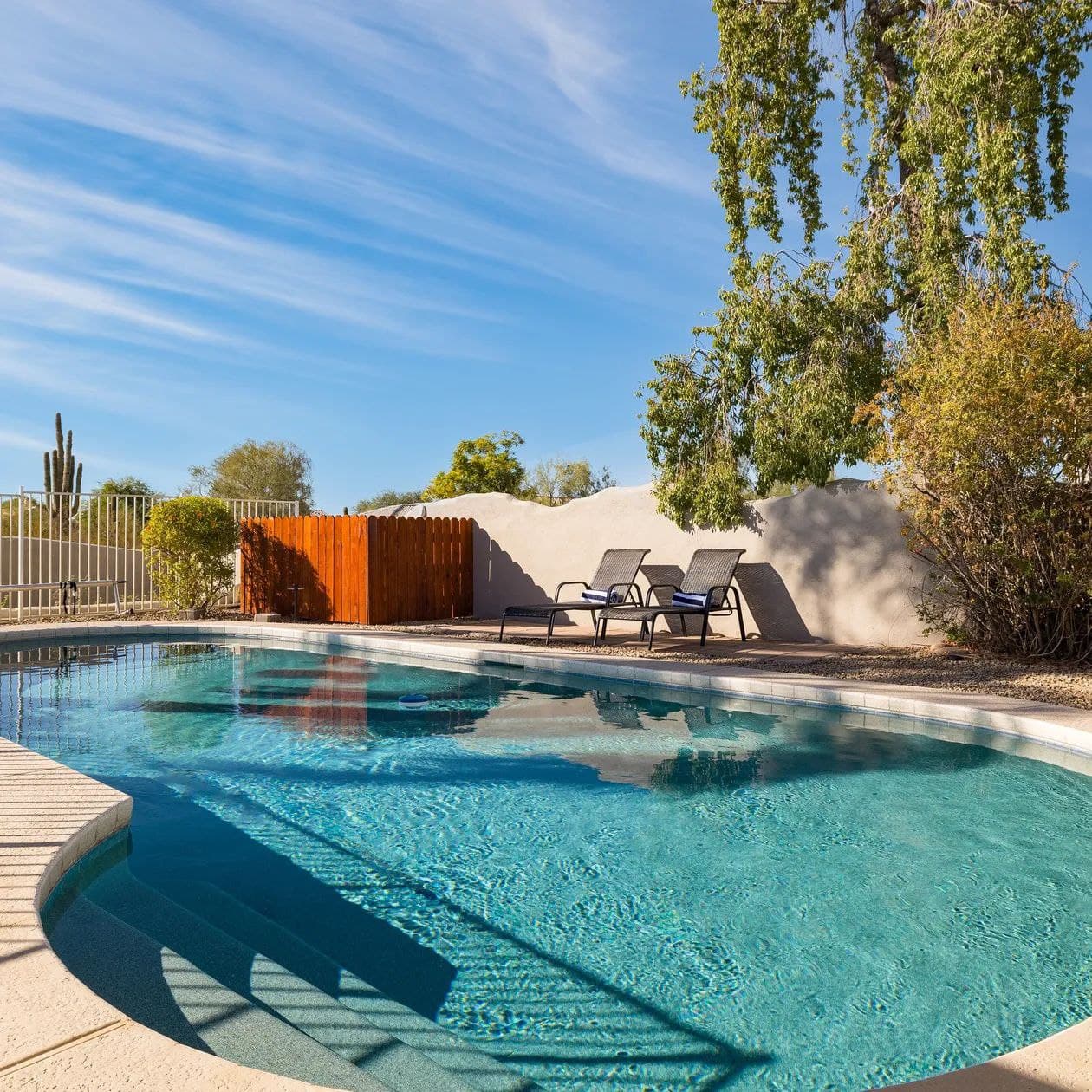 Sonoran Sunshine - Image 2