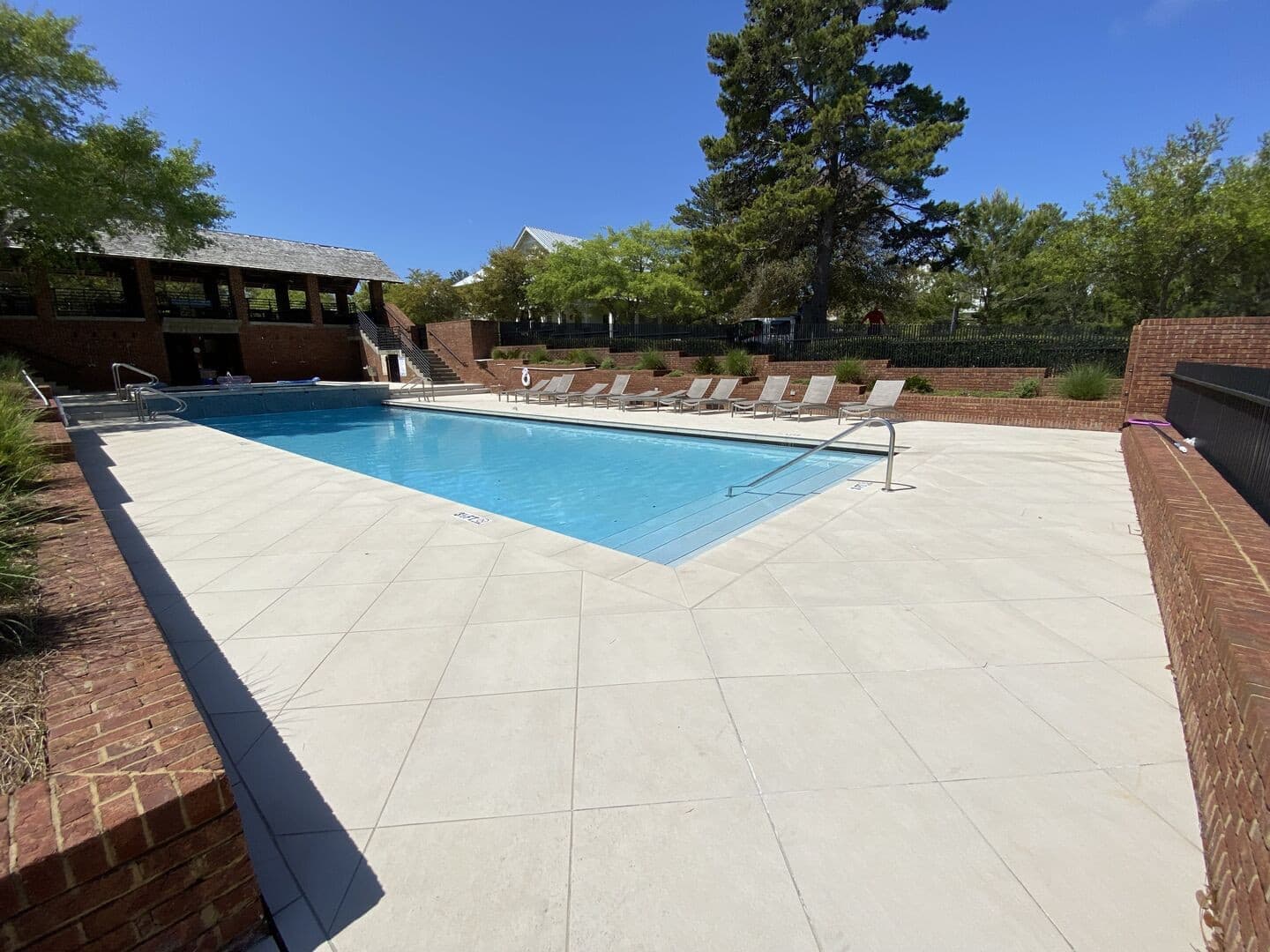 Longleaf Pines - Image 34