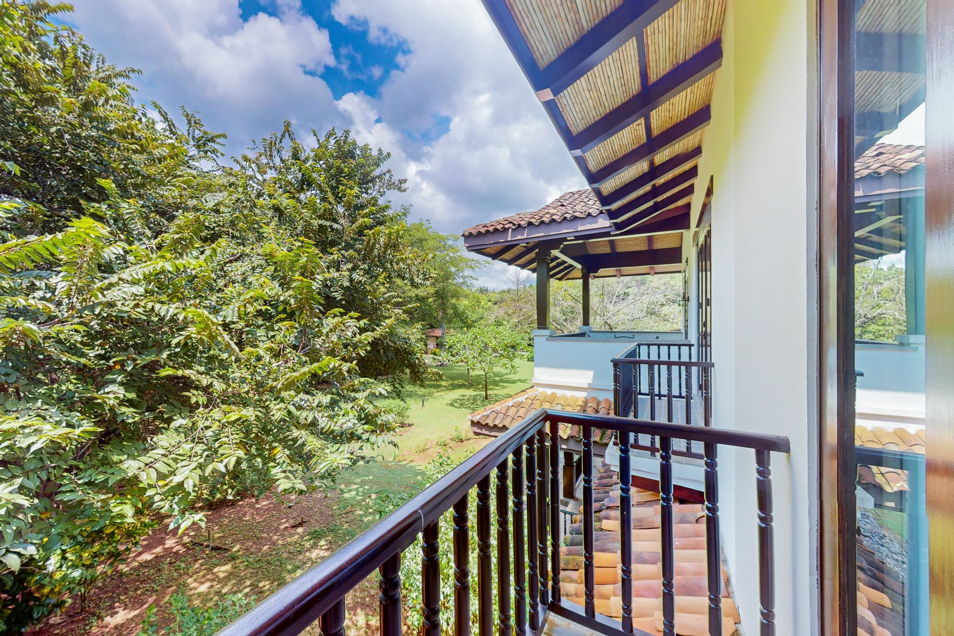 Pinilla Flor de Malinche - Image 31