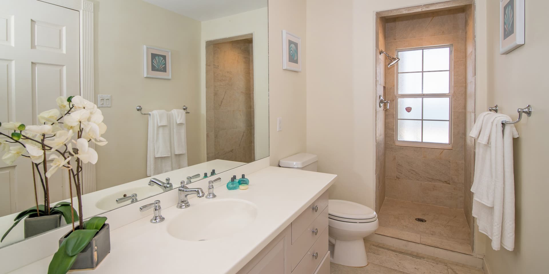 Abita Kai - Image 13