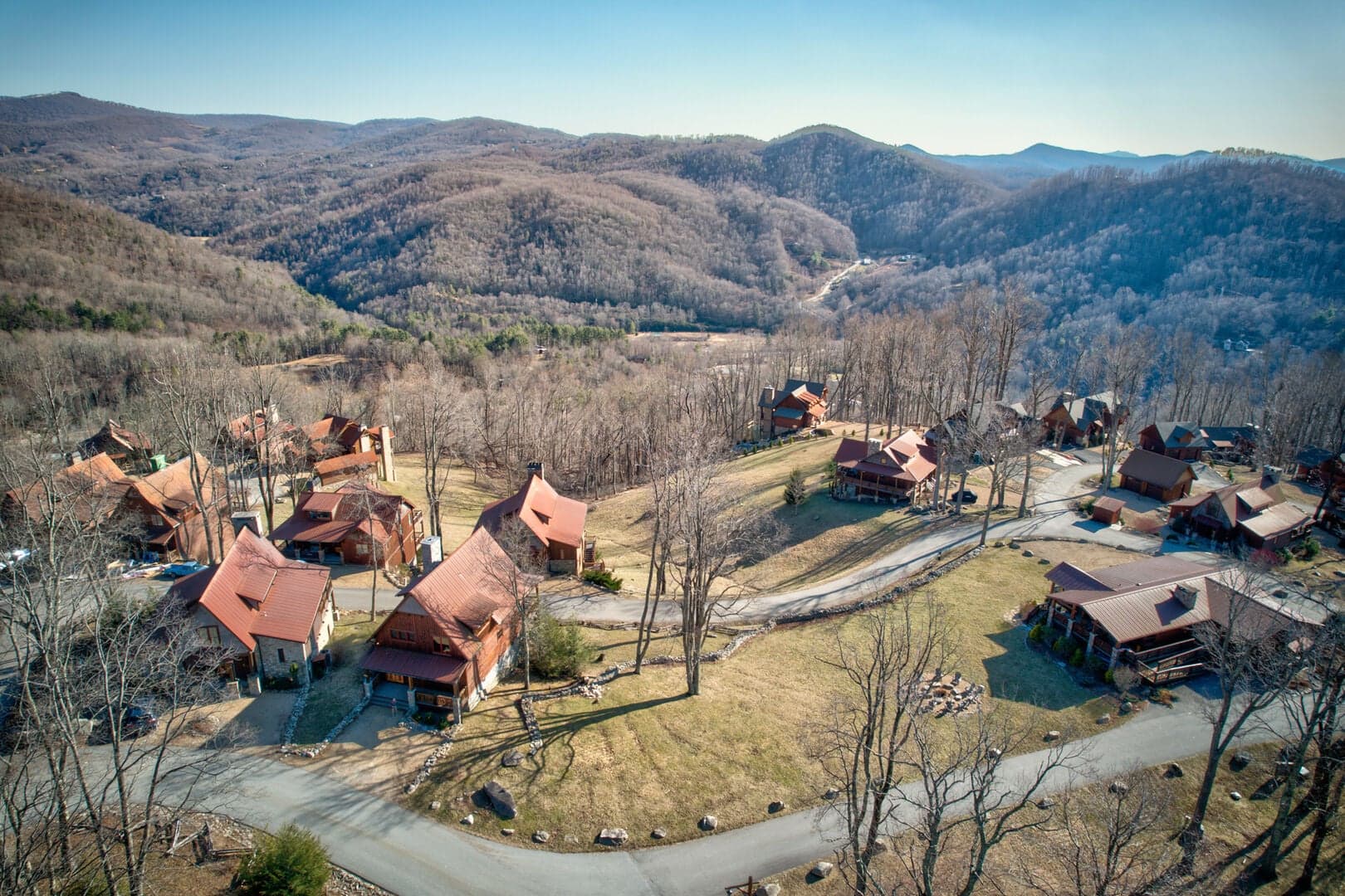 Grin Inn Bear - Image 3