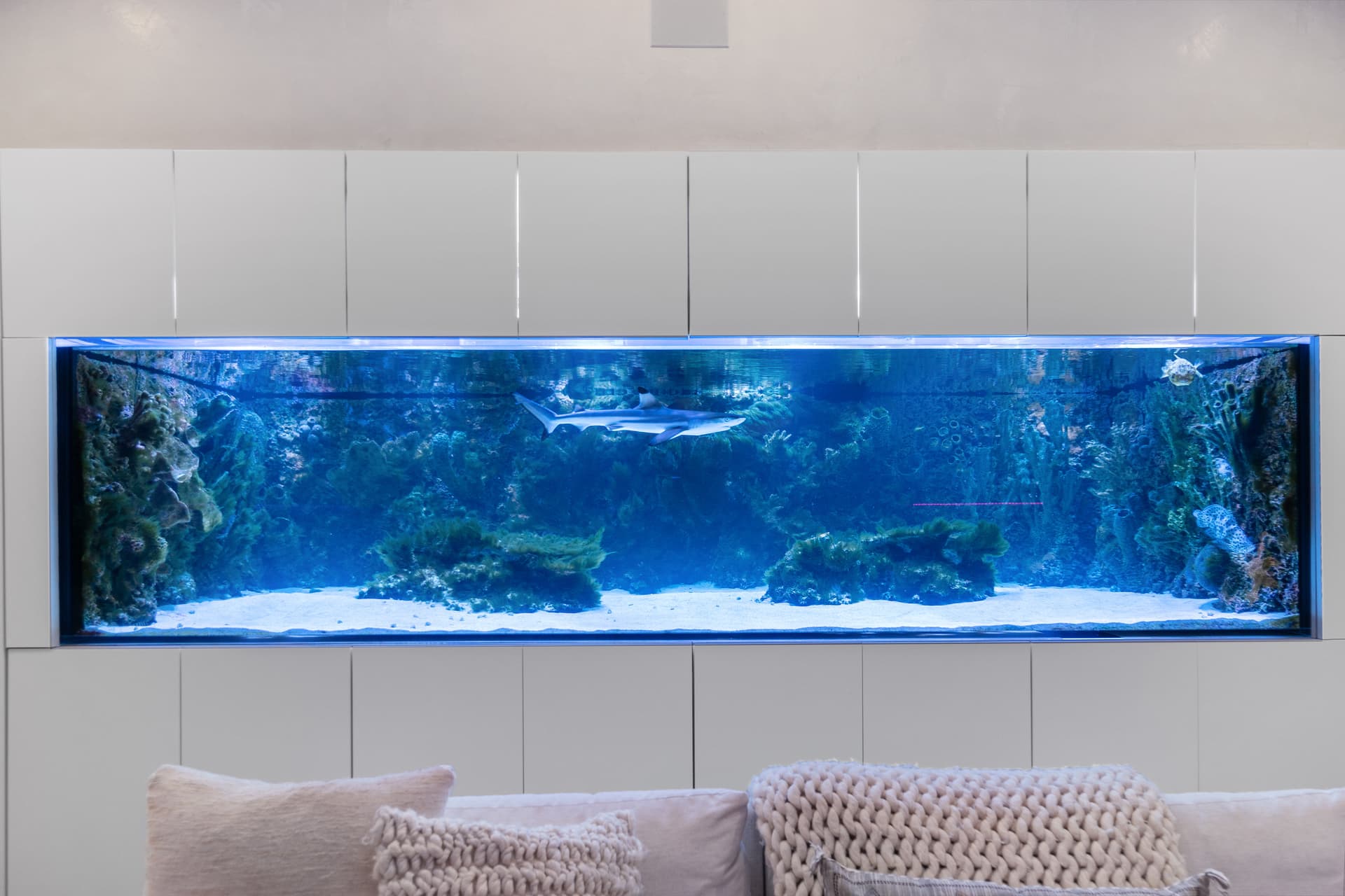 Eureka Home - Image 4