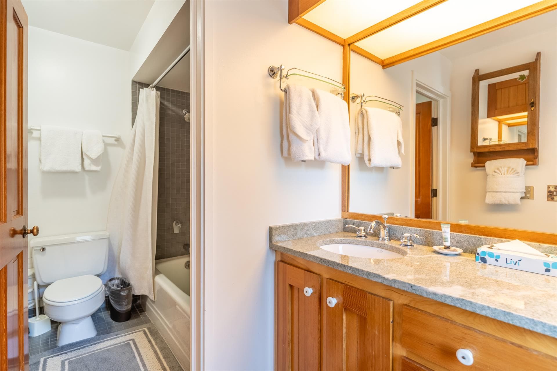 Soda Springs - Image 18