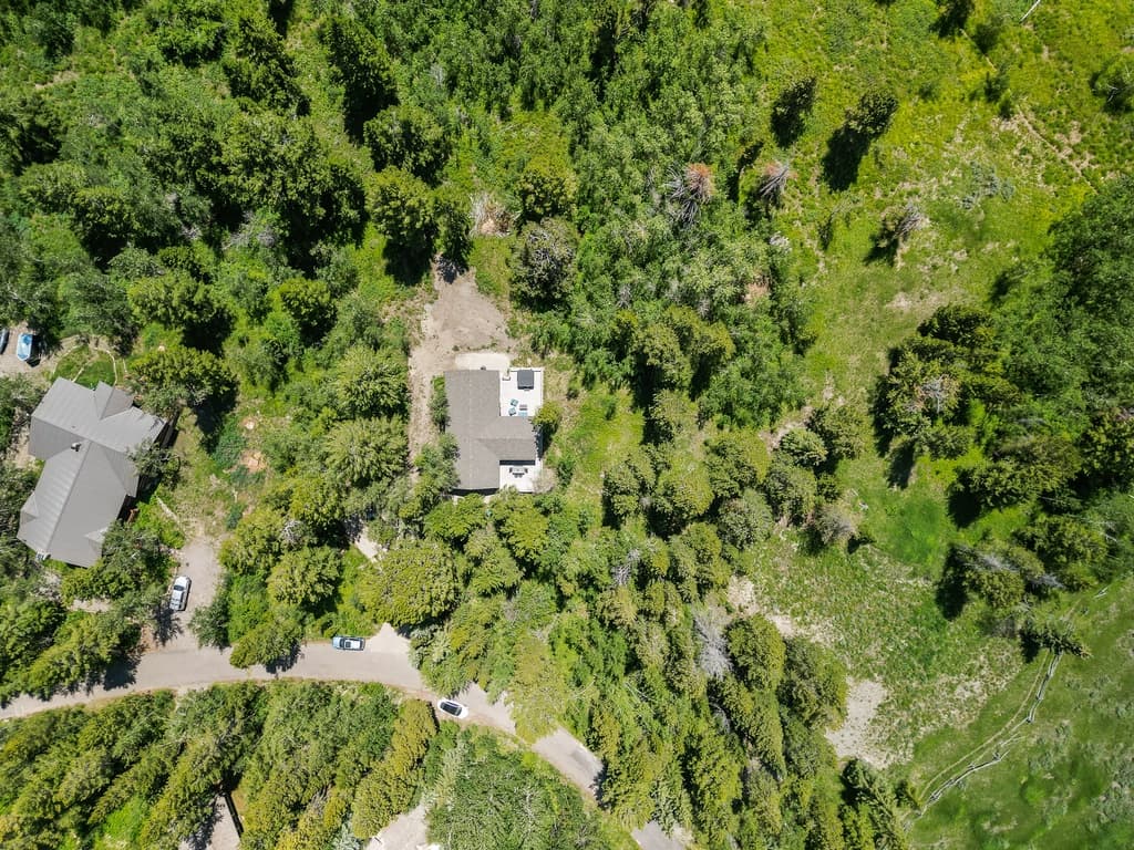 Seasonal Therapy - Image 21