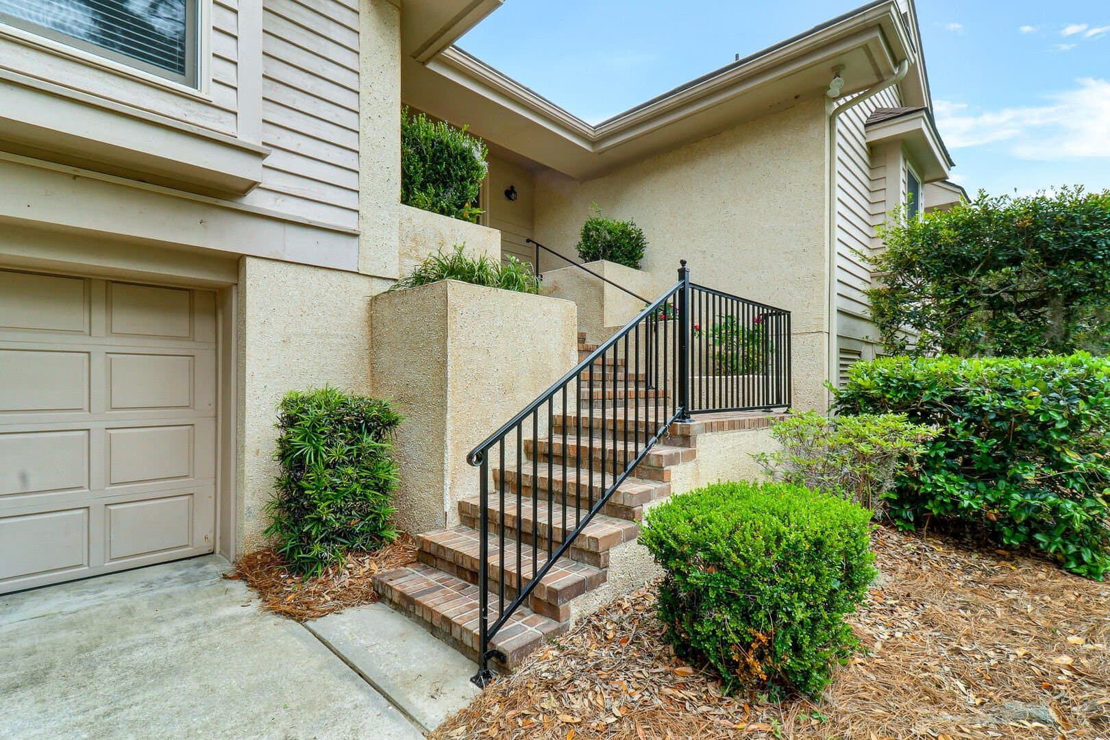 Sweet Carolina - Image 6