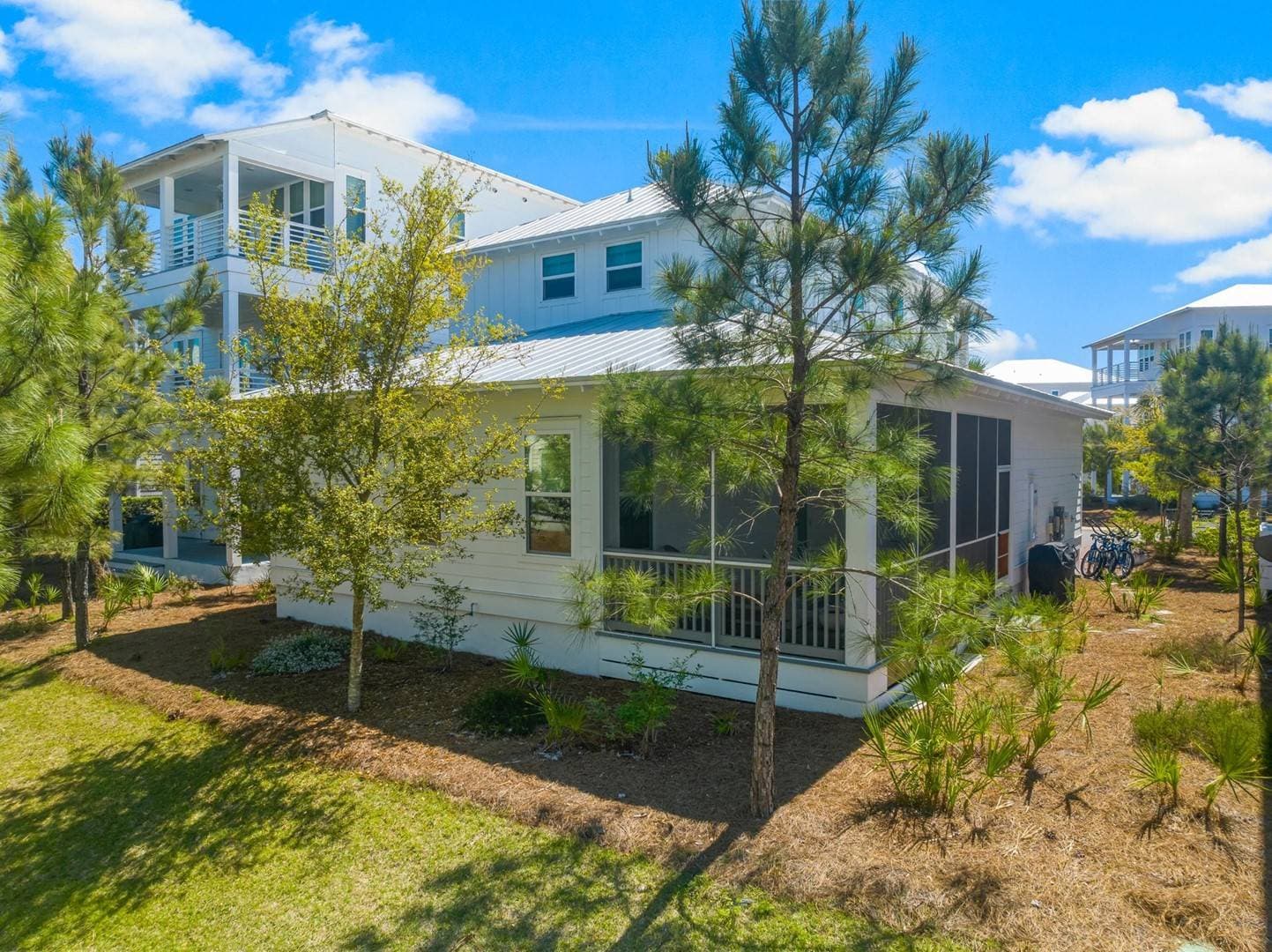 Palm Tree Paradise - Image 33