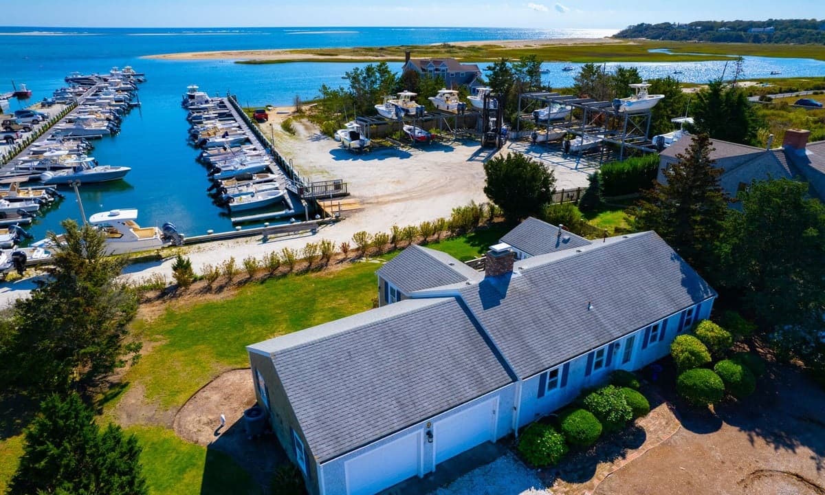 Whale Song - Image 2