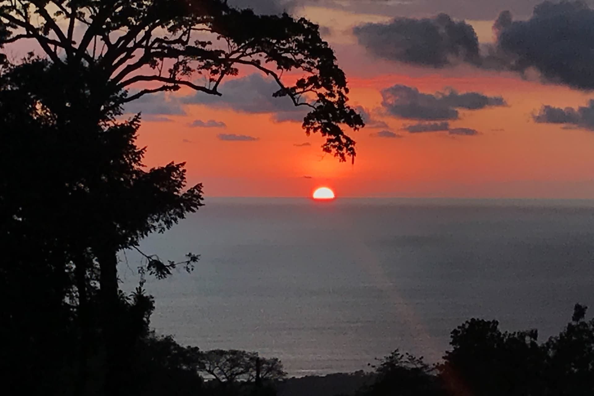 Casa Latte - Image 46