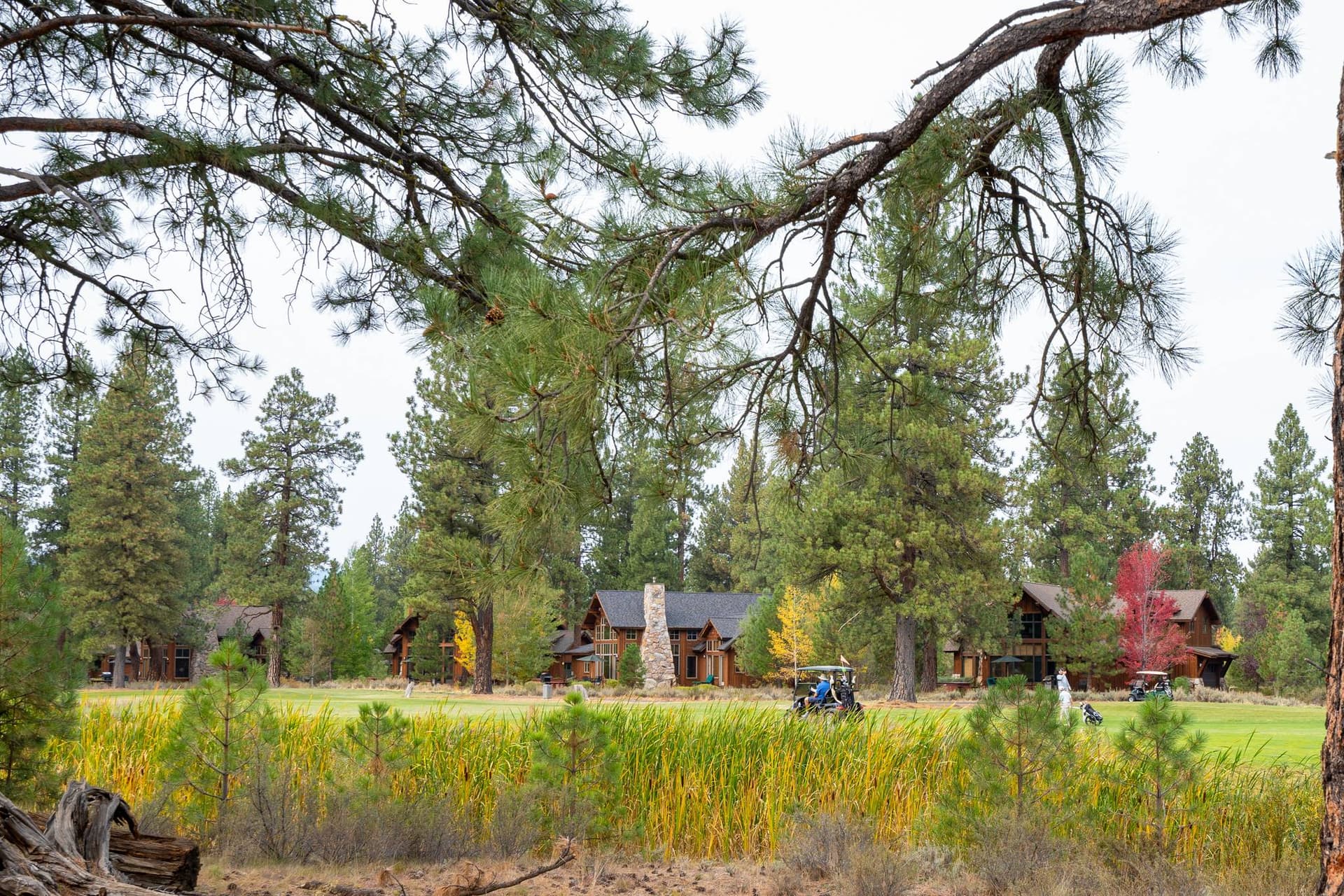 Sutter's Green - Image 28