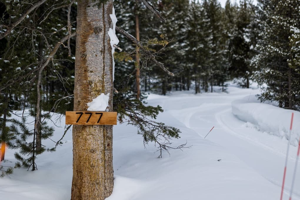 Lost Trails - Image 6