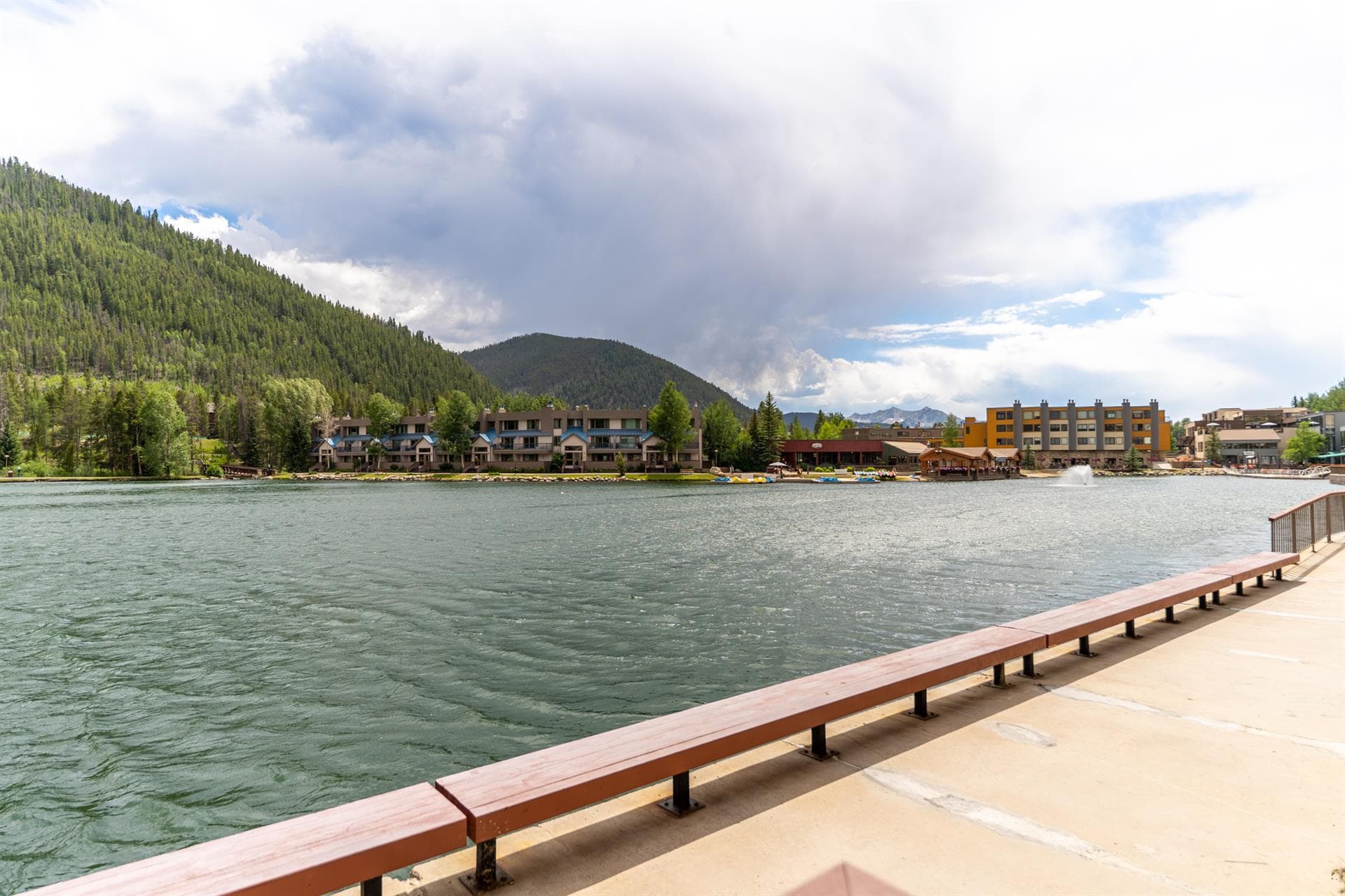 Gentle Grove - Image 7