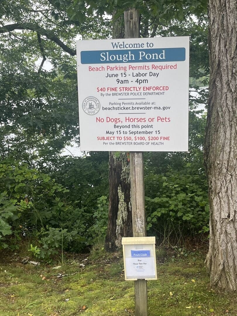 Take it Slough - Image 35