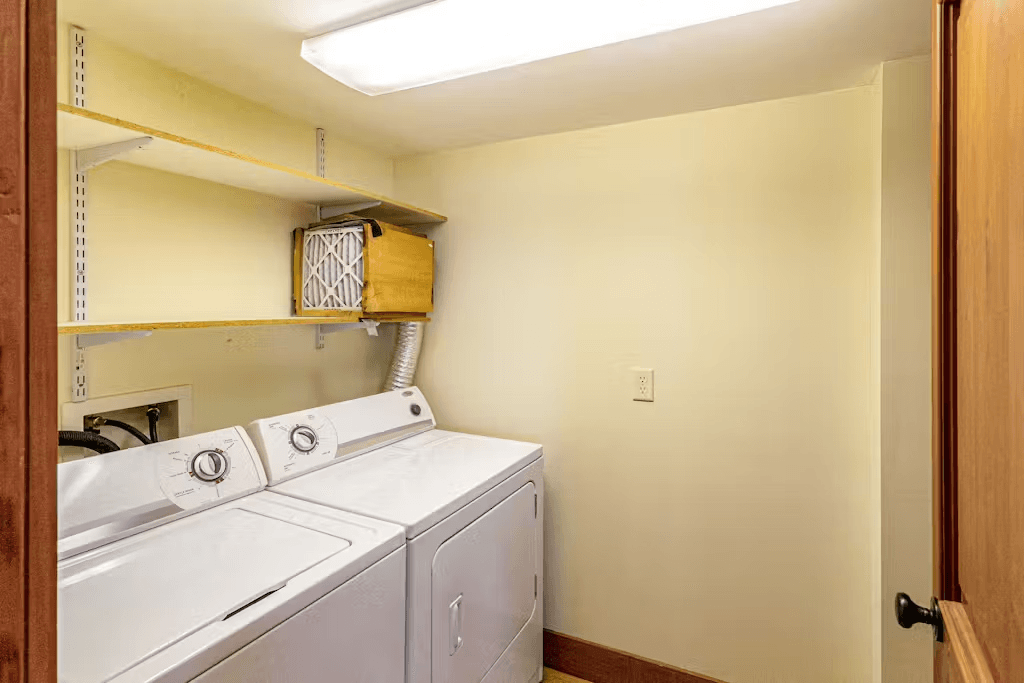 Two Bears - Image 38