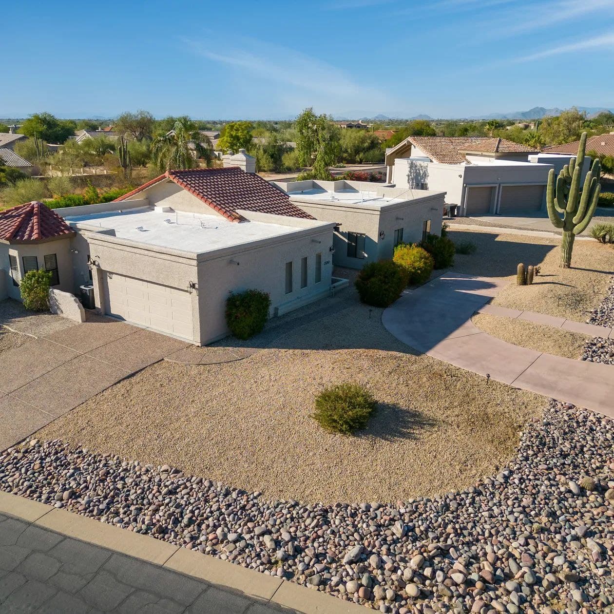 Sonoran Sunshine - Image 42