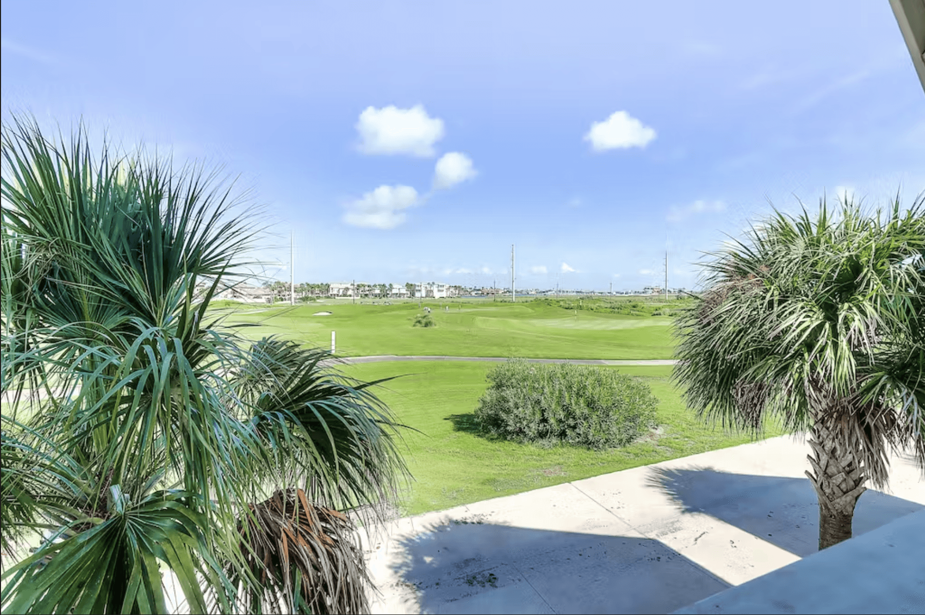 Top of the Shoreline - Image 7