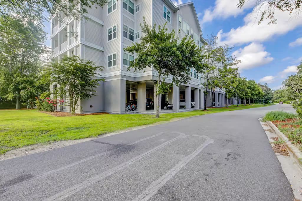 One Eyed Chihuahua - Image 21