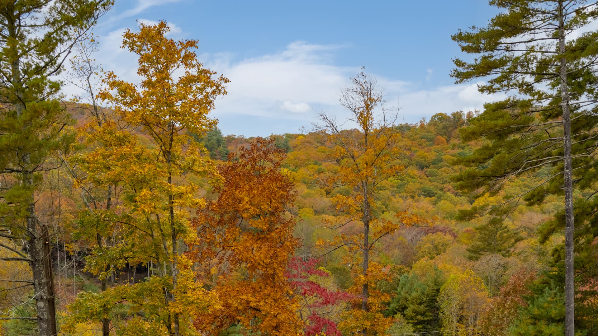 Duncan Home - Image 17