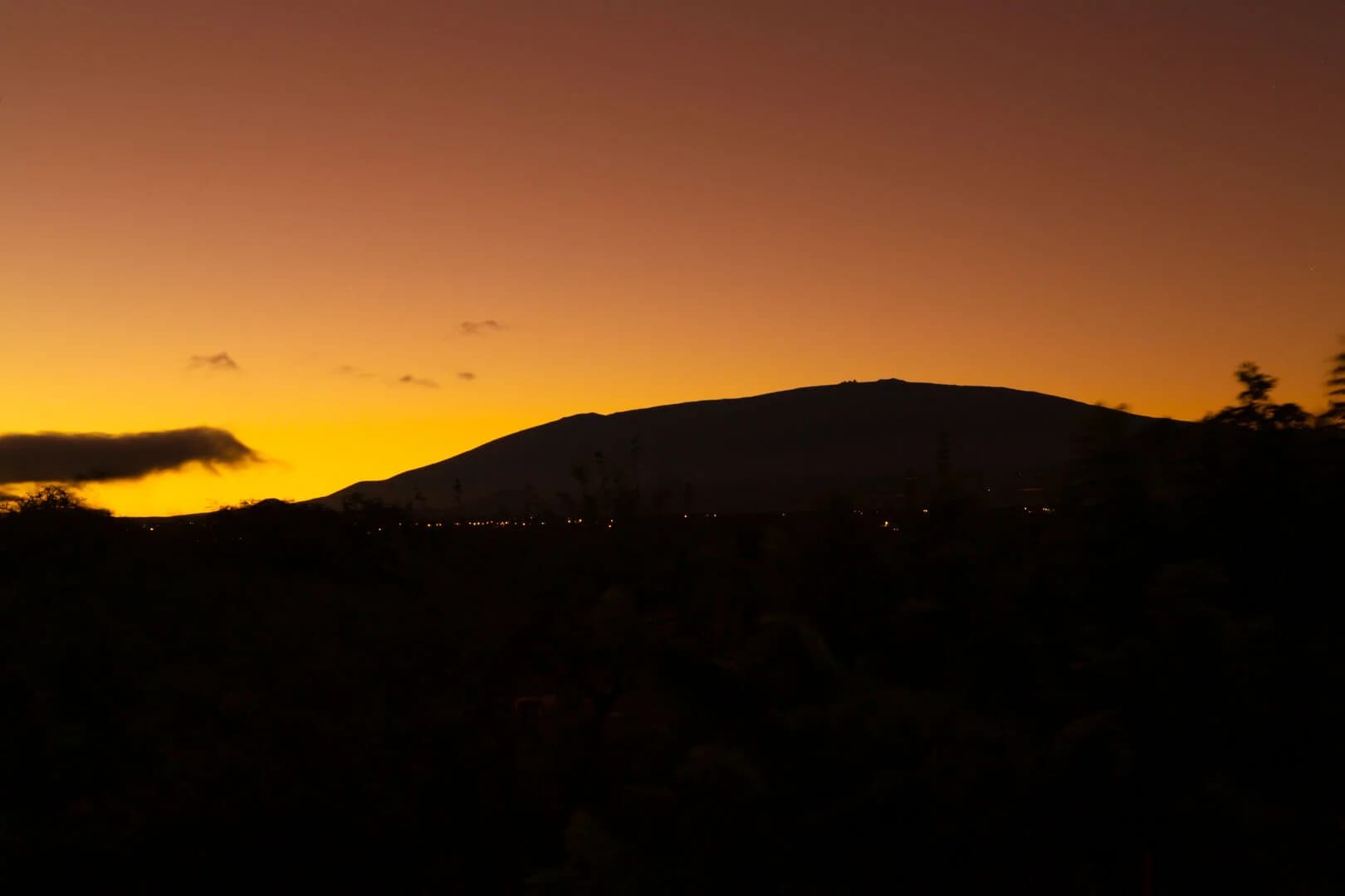 Pineapple Hale - Image 45