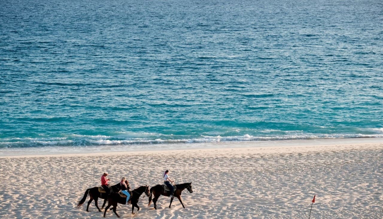 Ballena Condo #303  - Image 13