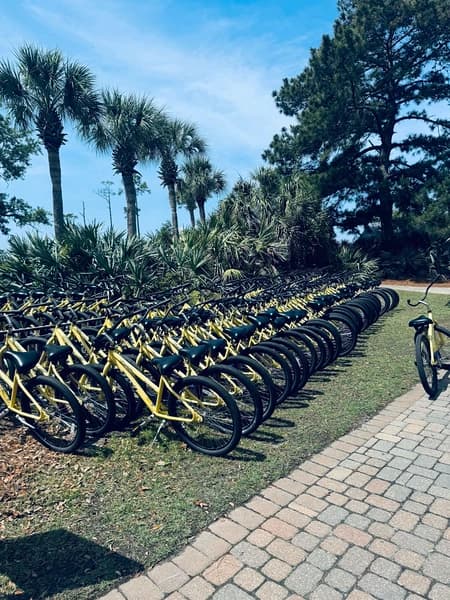 Coral Starfish - Image 44