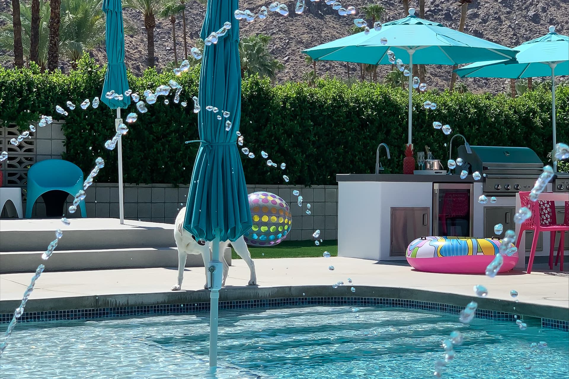 Alexander Stunner Home - Image 35