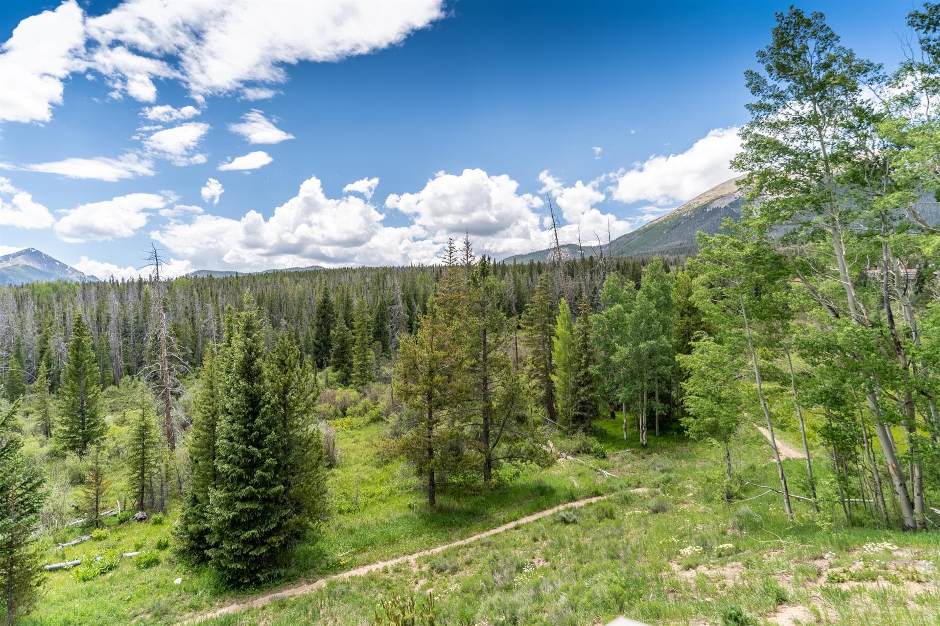 Watch Hill - Image 8