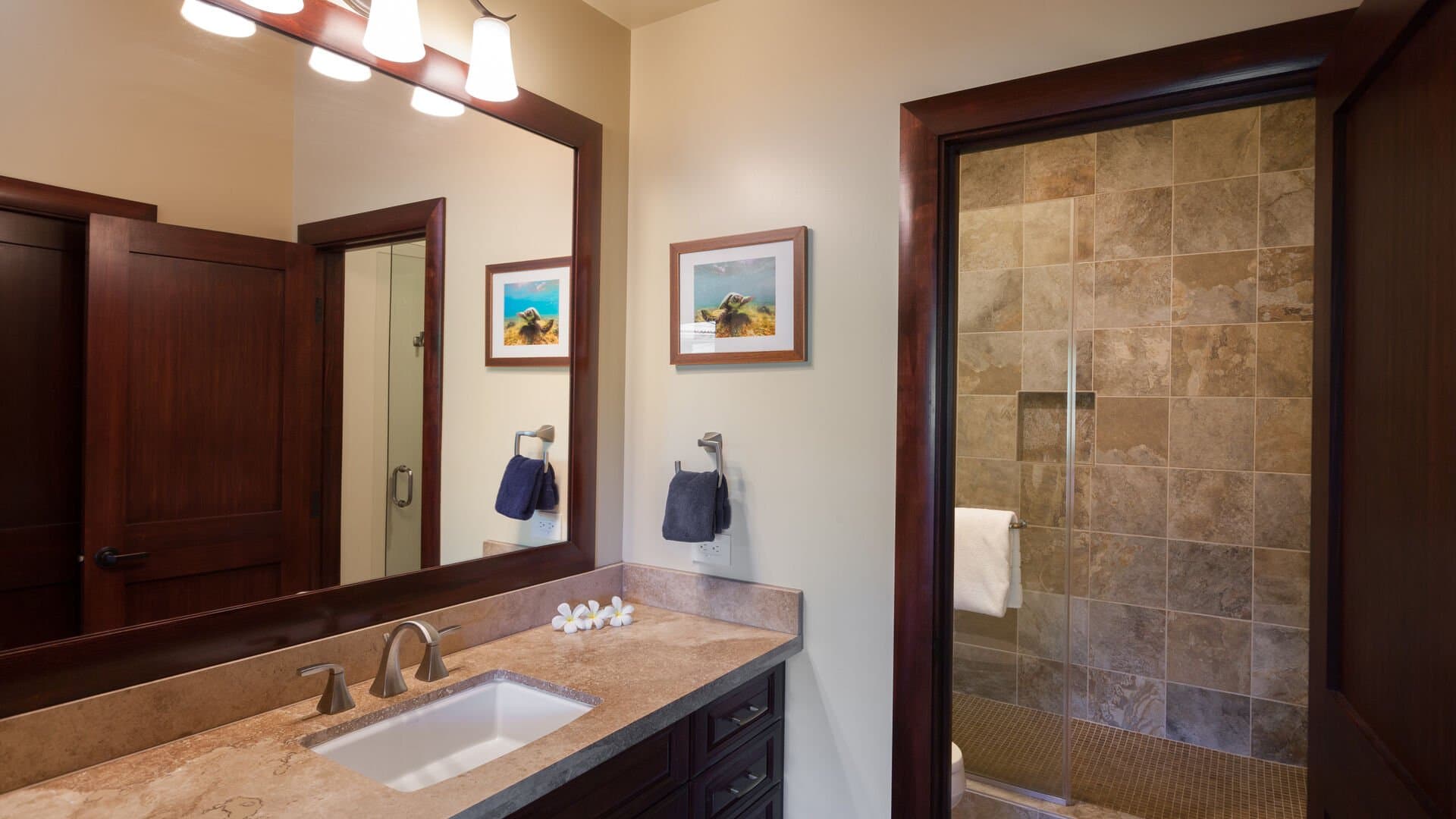 Mauna Kea Dream Villa - Image 14