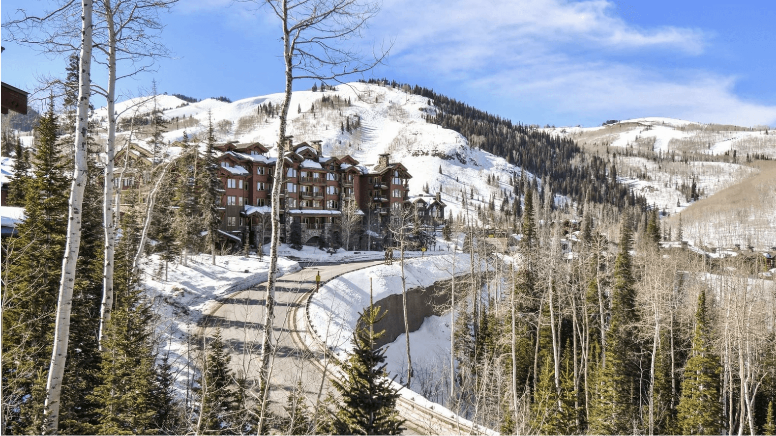 Silver Sun - Image 37