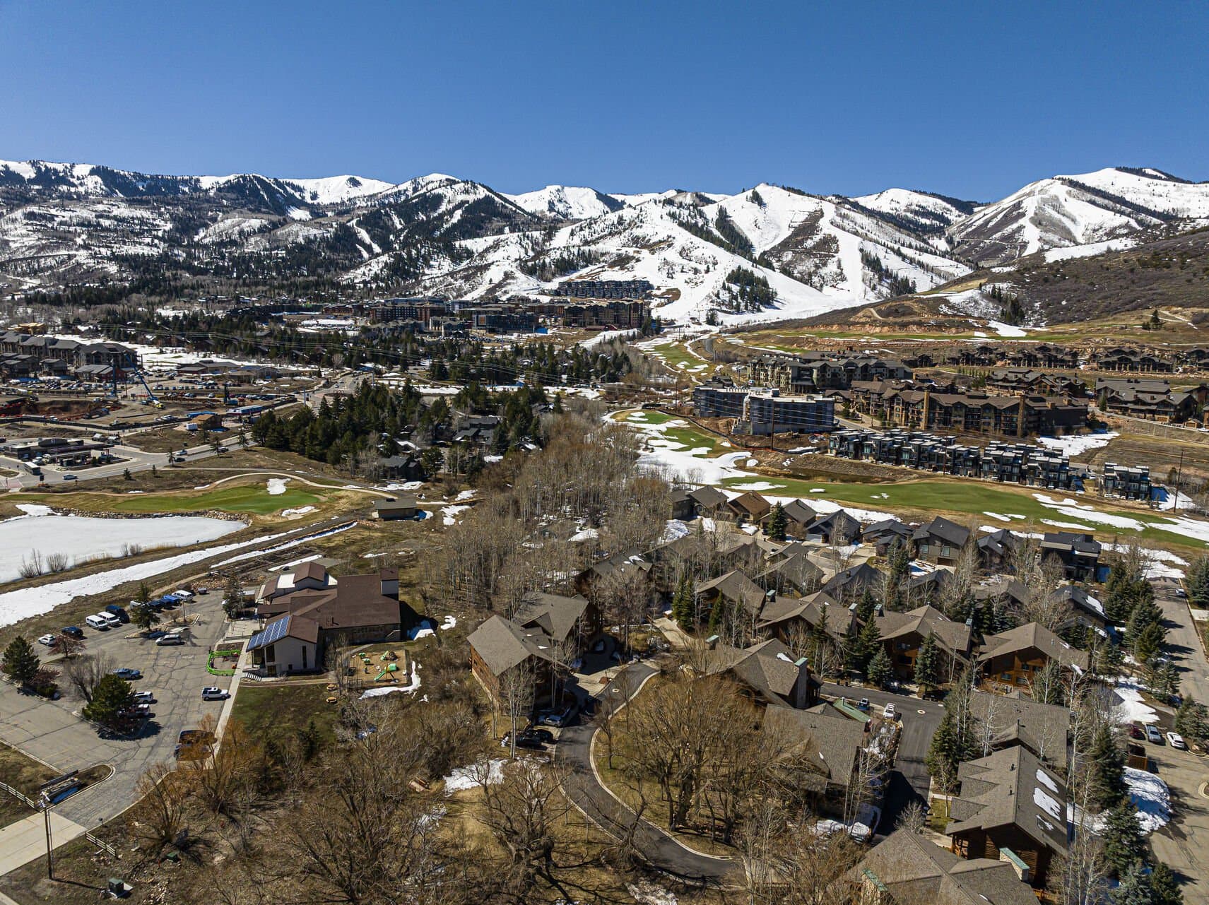 TimberWolf Den #1D - Image 2