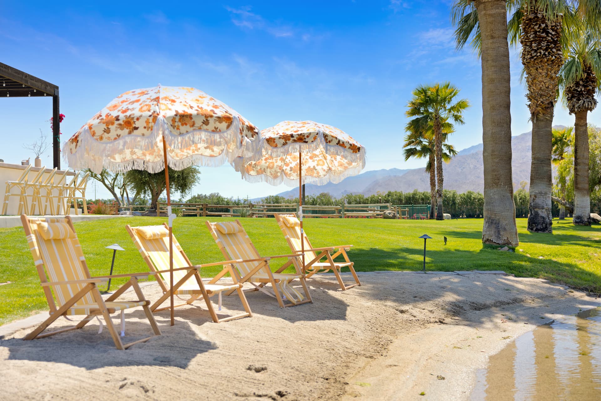 Buena Vista - Image 6