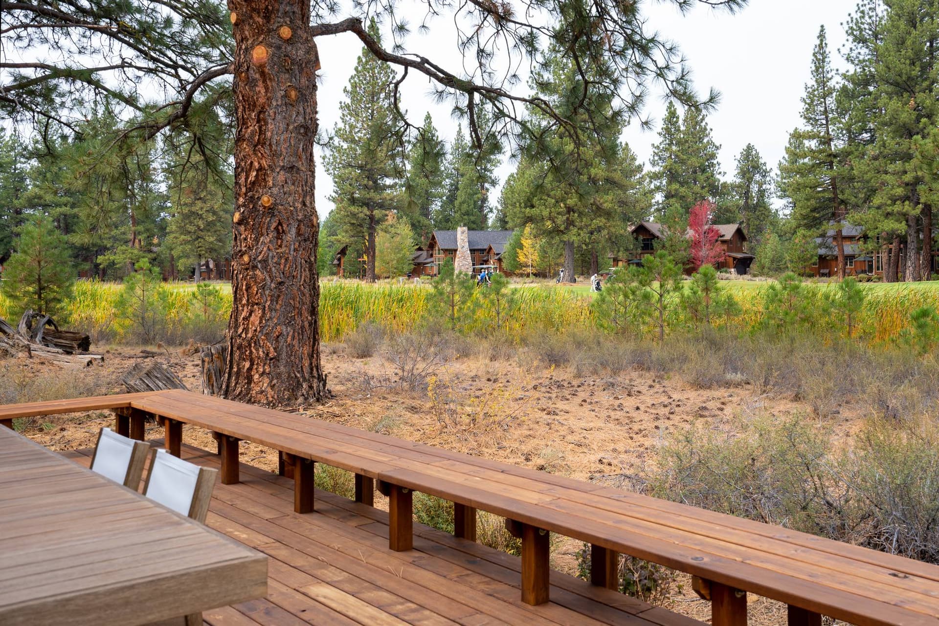 Sutter's Green - Image 27