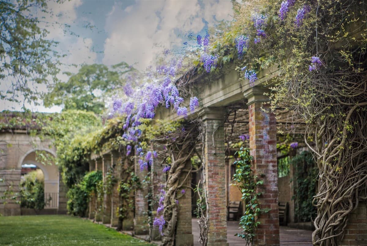 Northeast House - Image 29