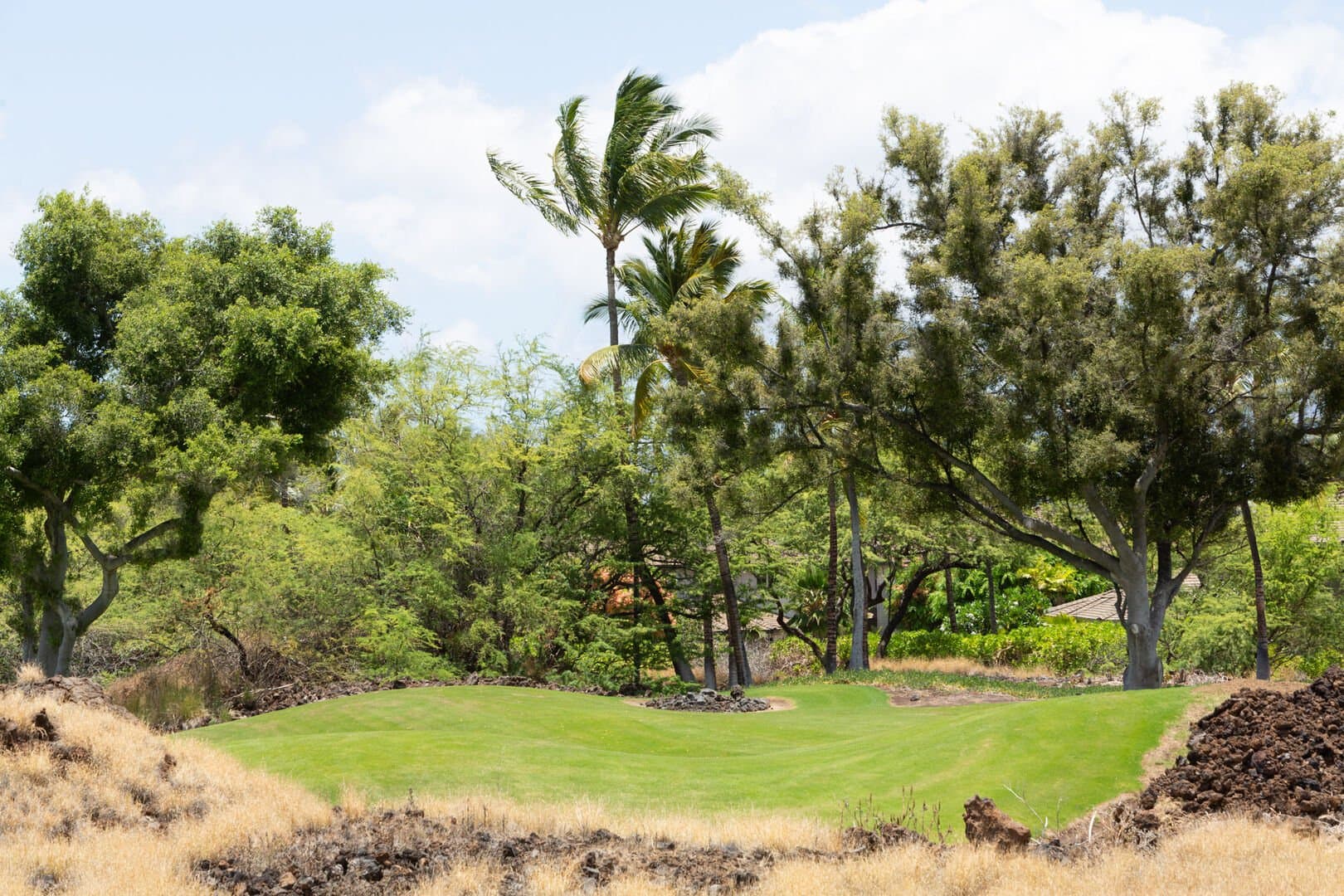 Sea to Sky - Image 44