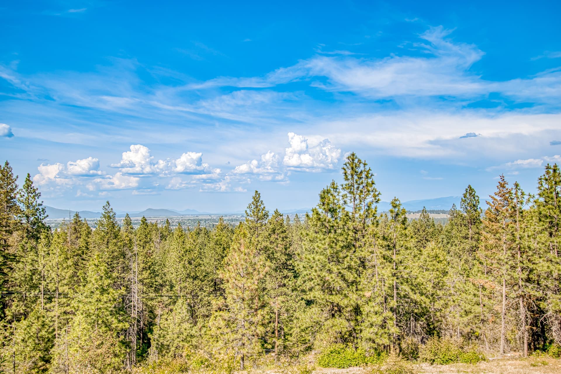 Tanglewood Retreat - Image 4