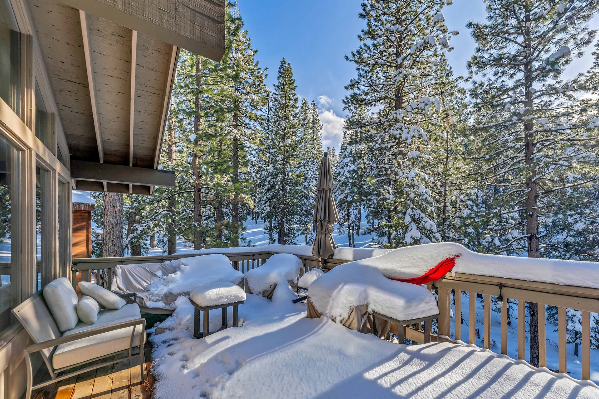 Lazy Bear - Image 31