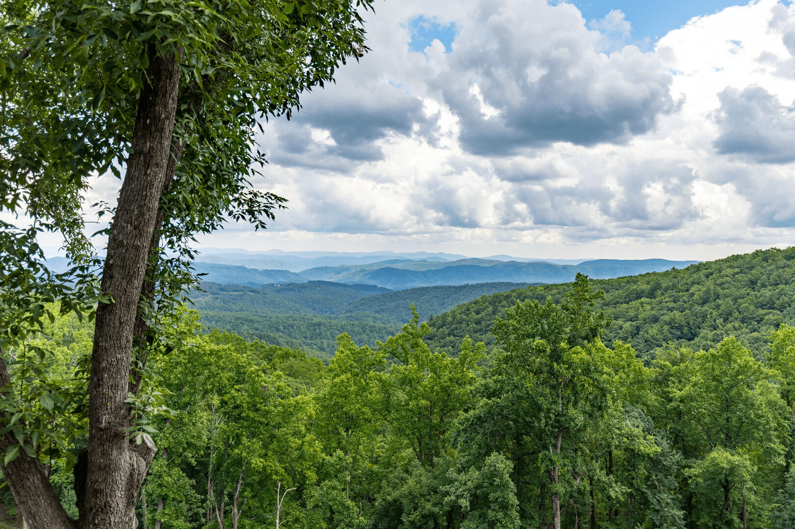 Blue Ridge Bliss - Image 21