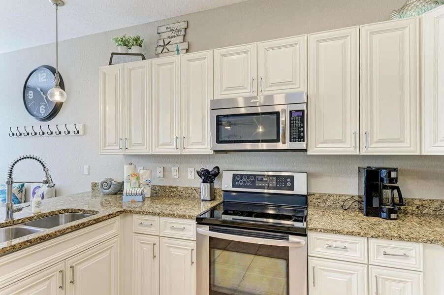 Island Nautilus - Image 11