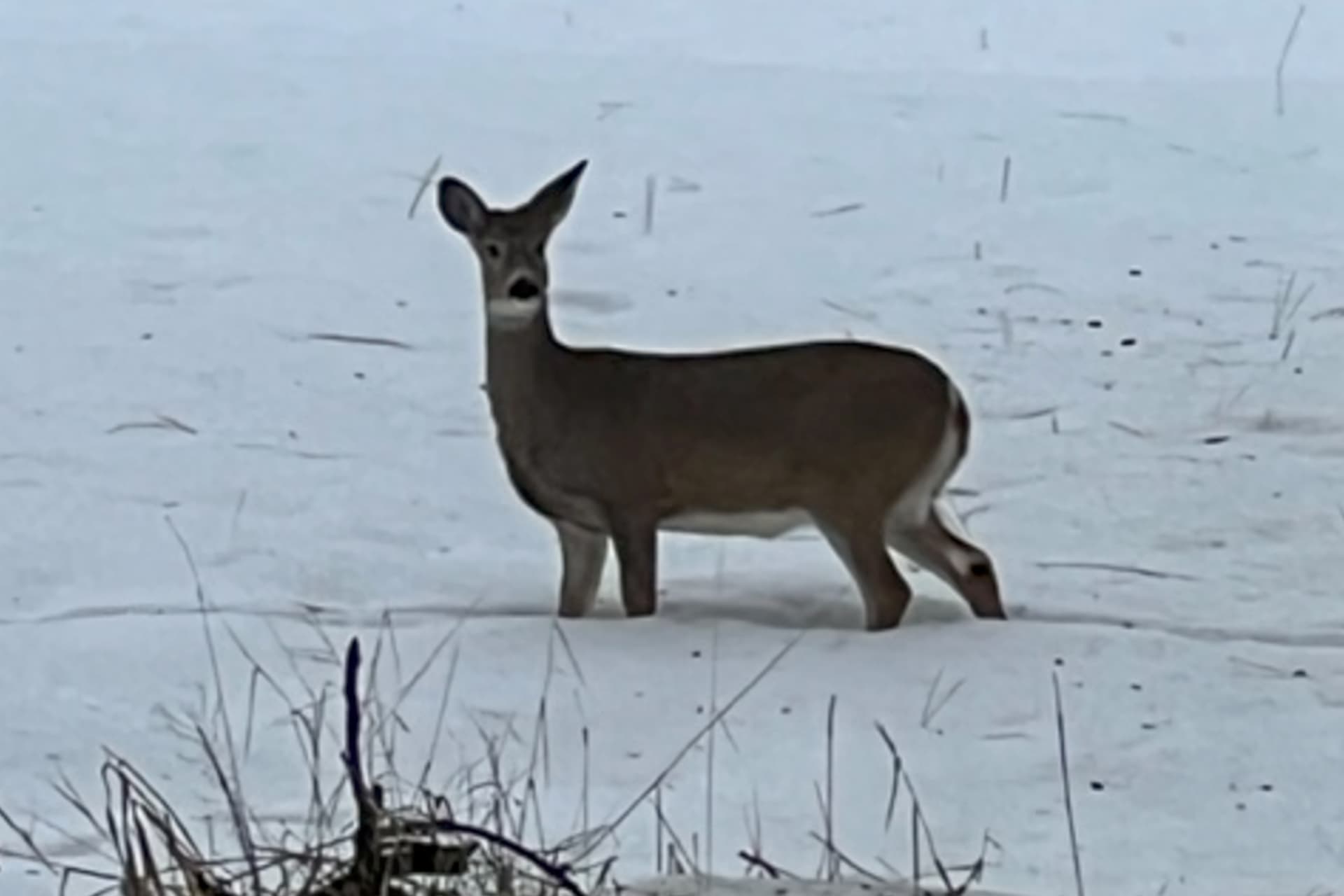 Lake View Getaway - Image 32