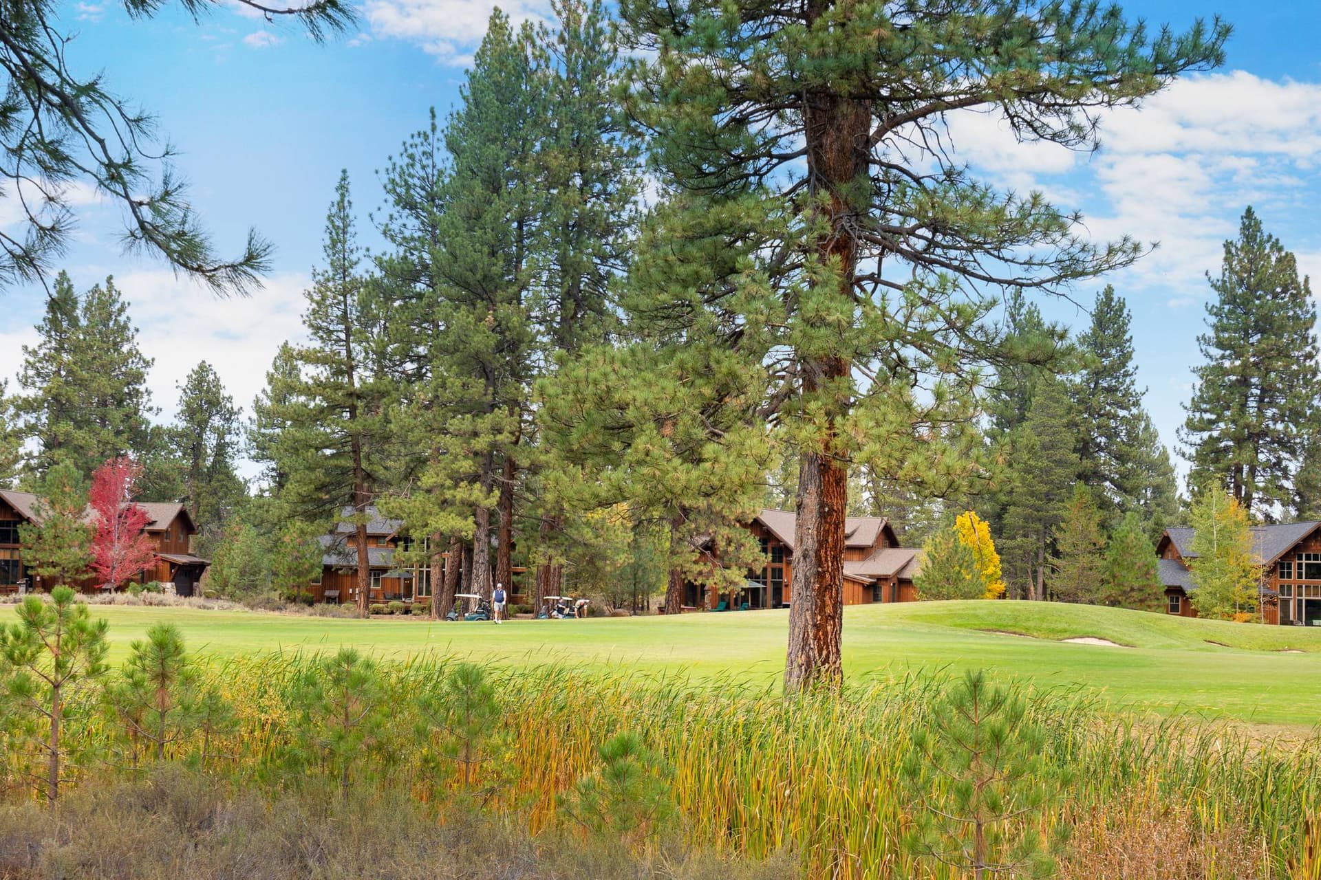 Sutter's Green - Image 29