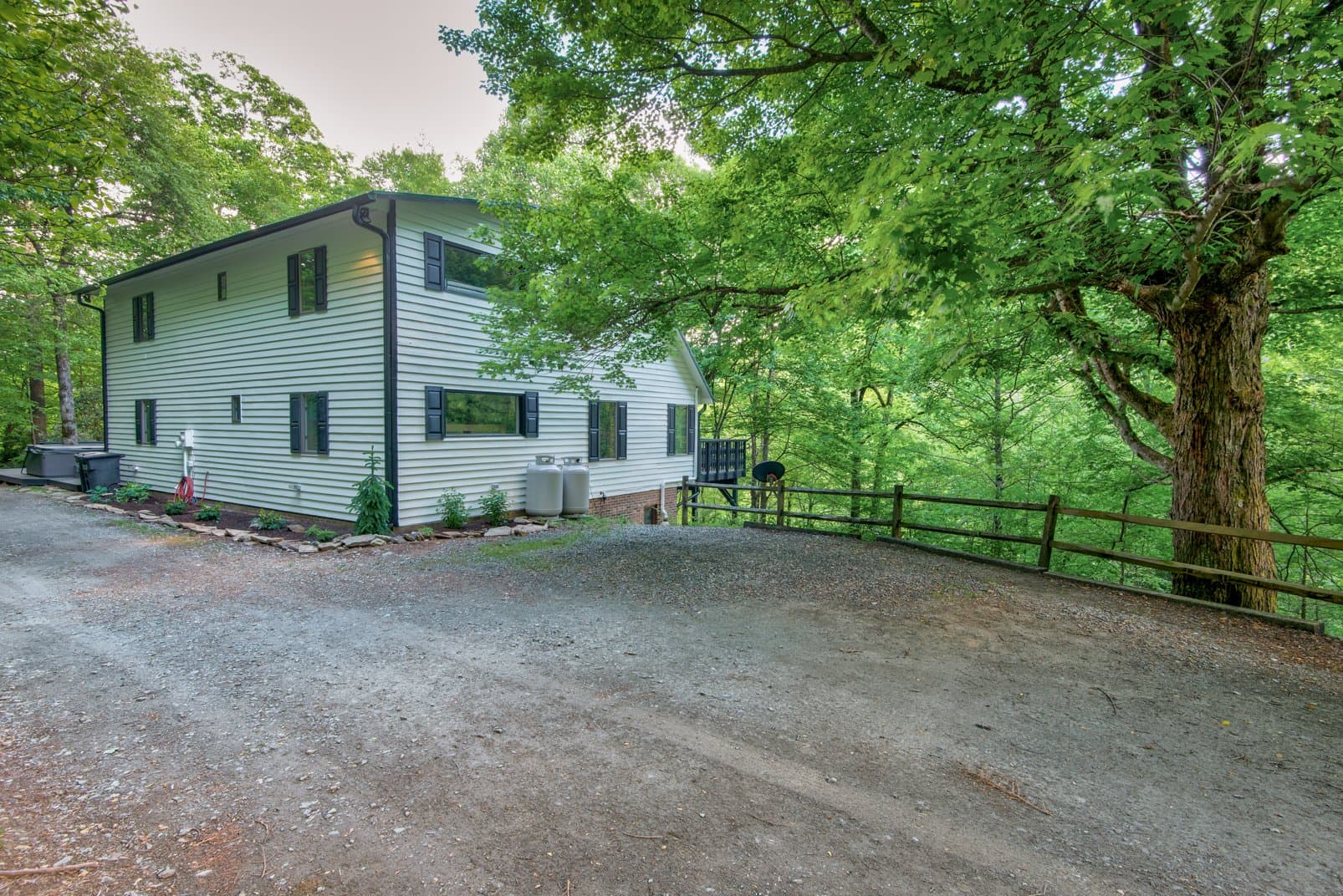 Paws a While - Image 56