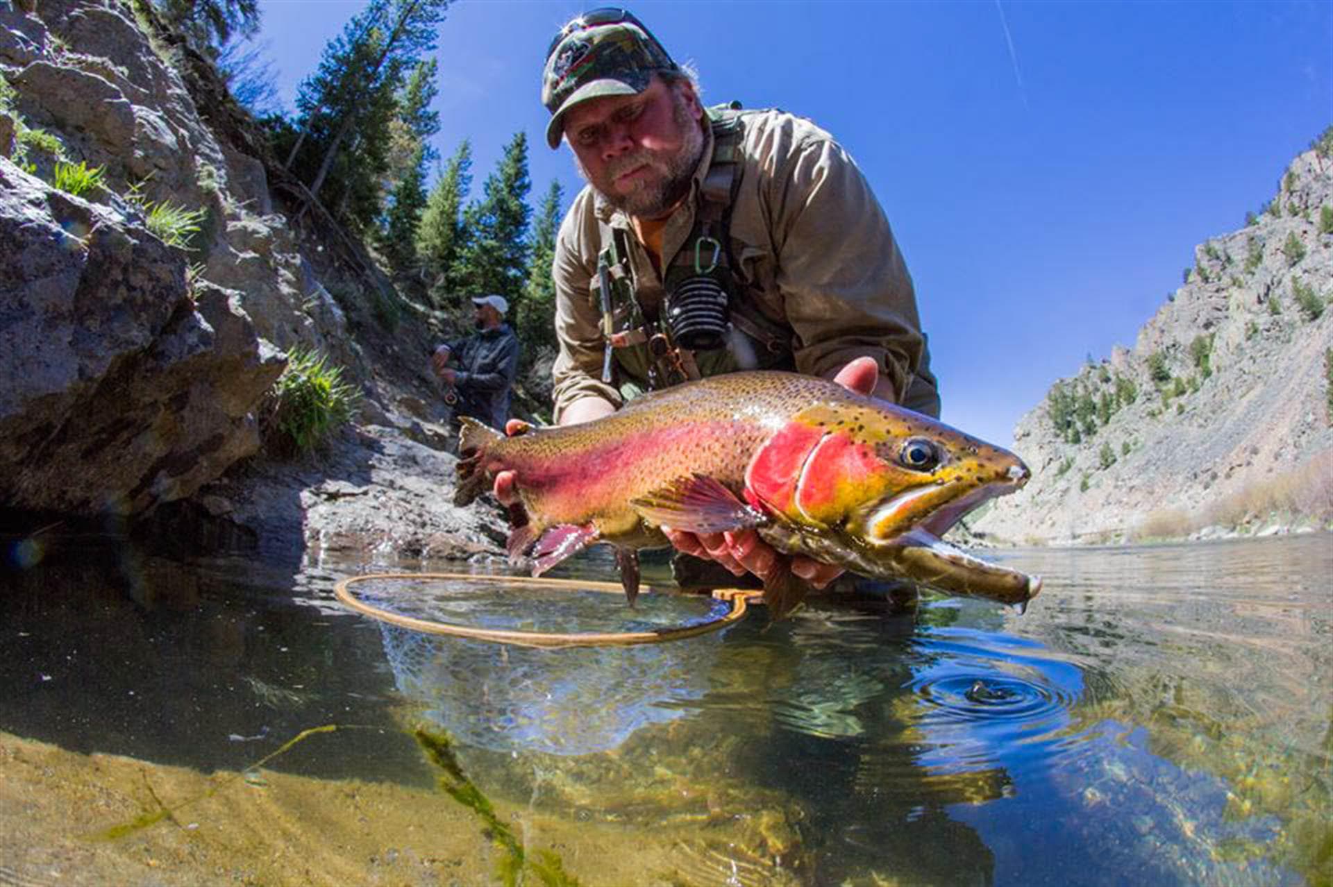 Caravelle Home - Image 44