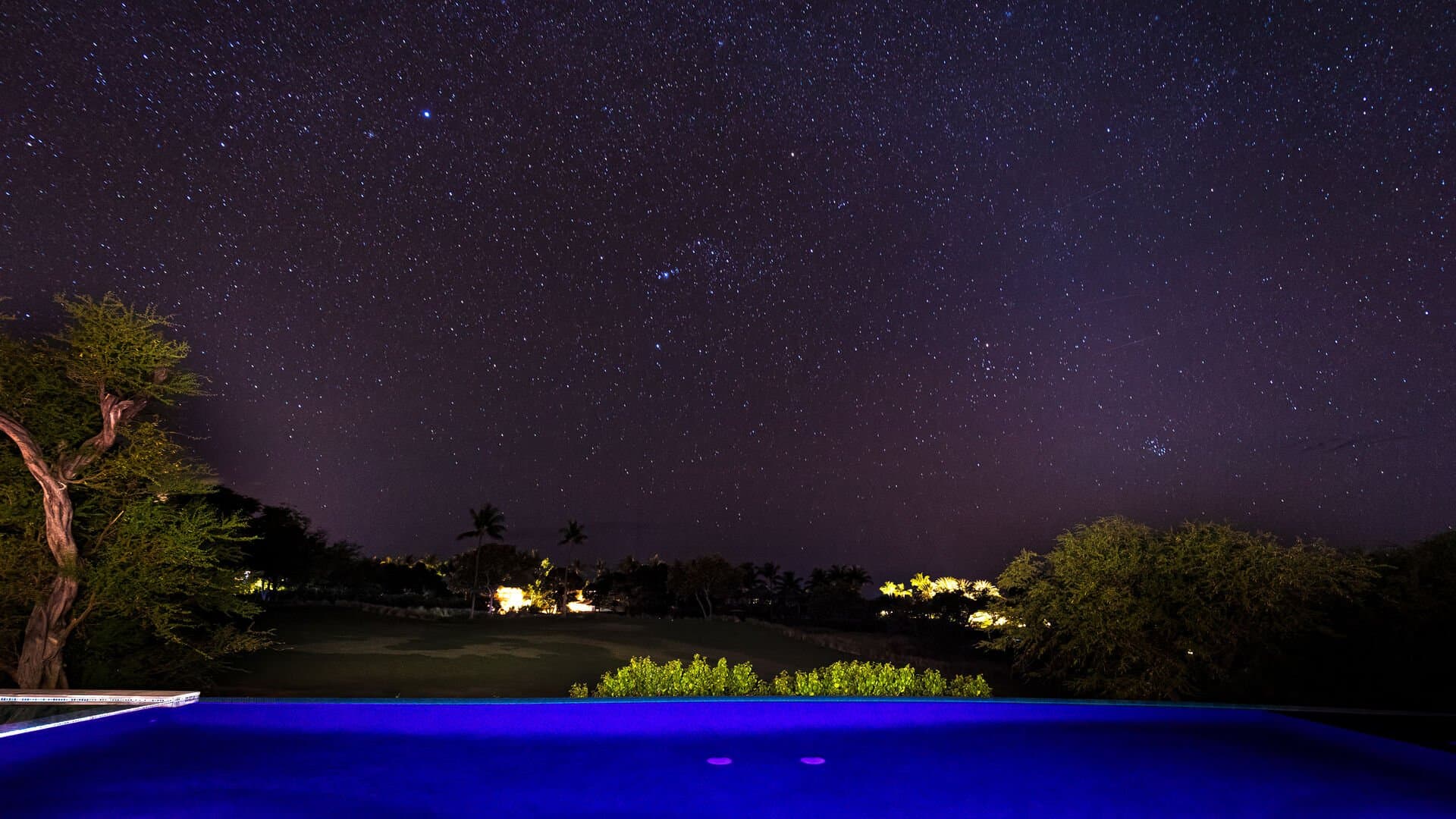 Hawaiian Elegance - Image 53