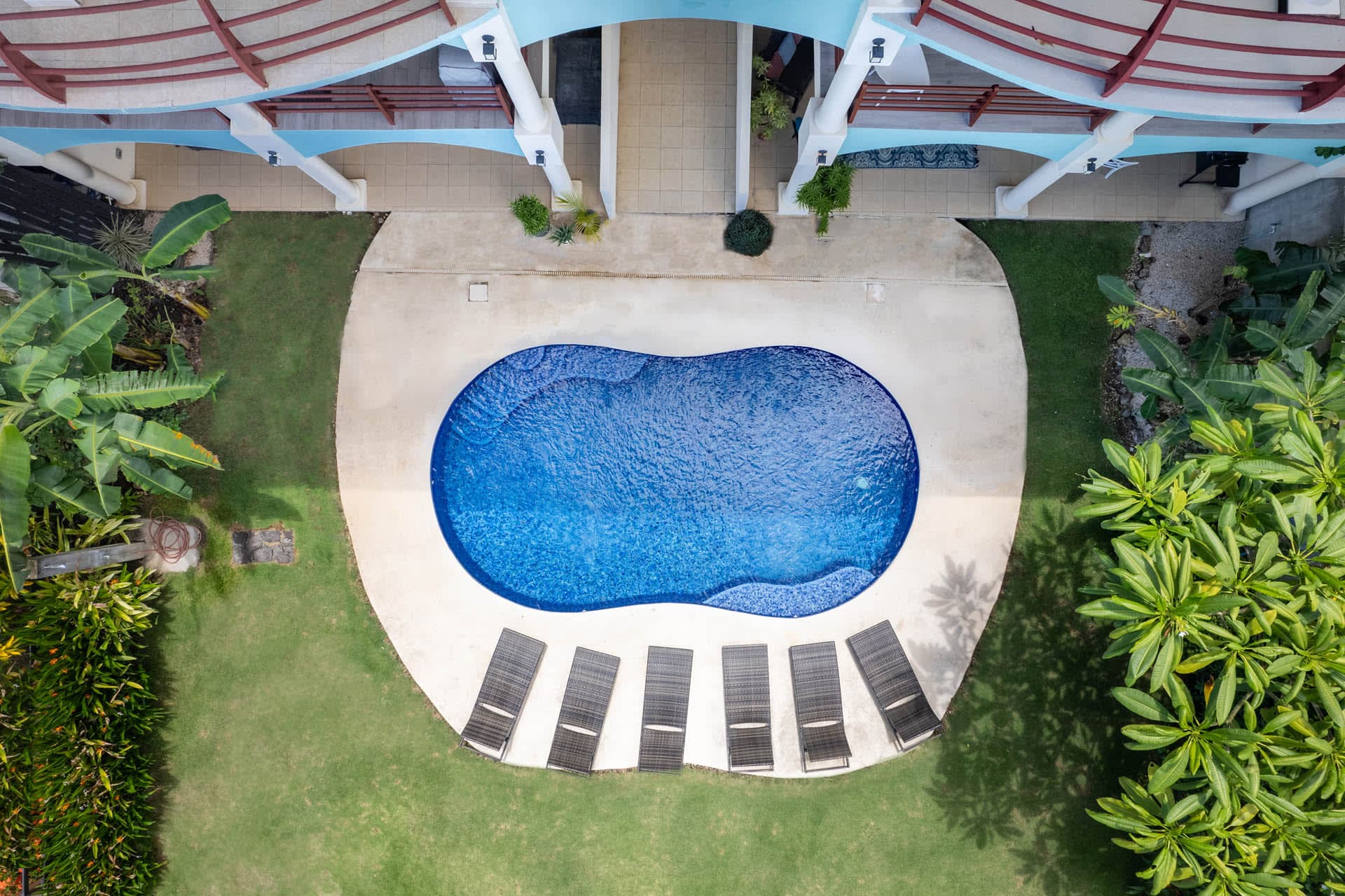 Twin Dolphins - Image 22