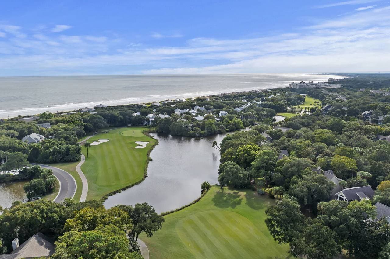 Silver Moss - Image 45