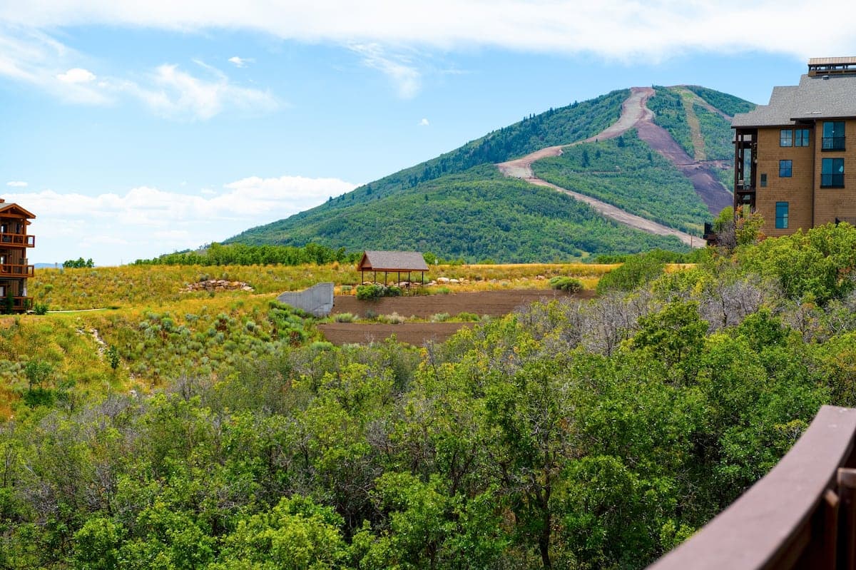 Lucky Bill - Image 35