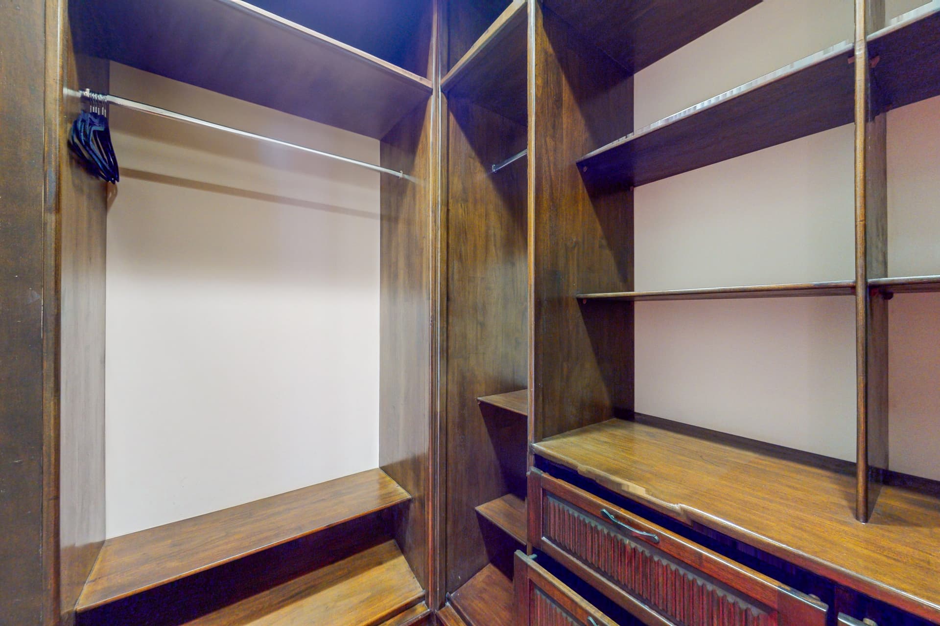 Pinilla Flor de Malinche - Image 42