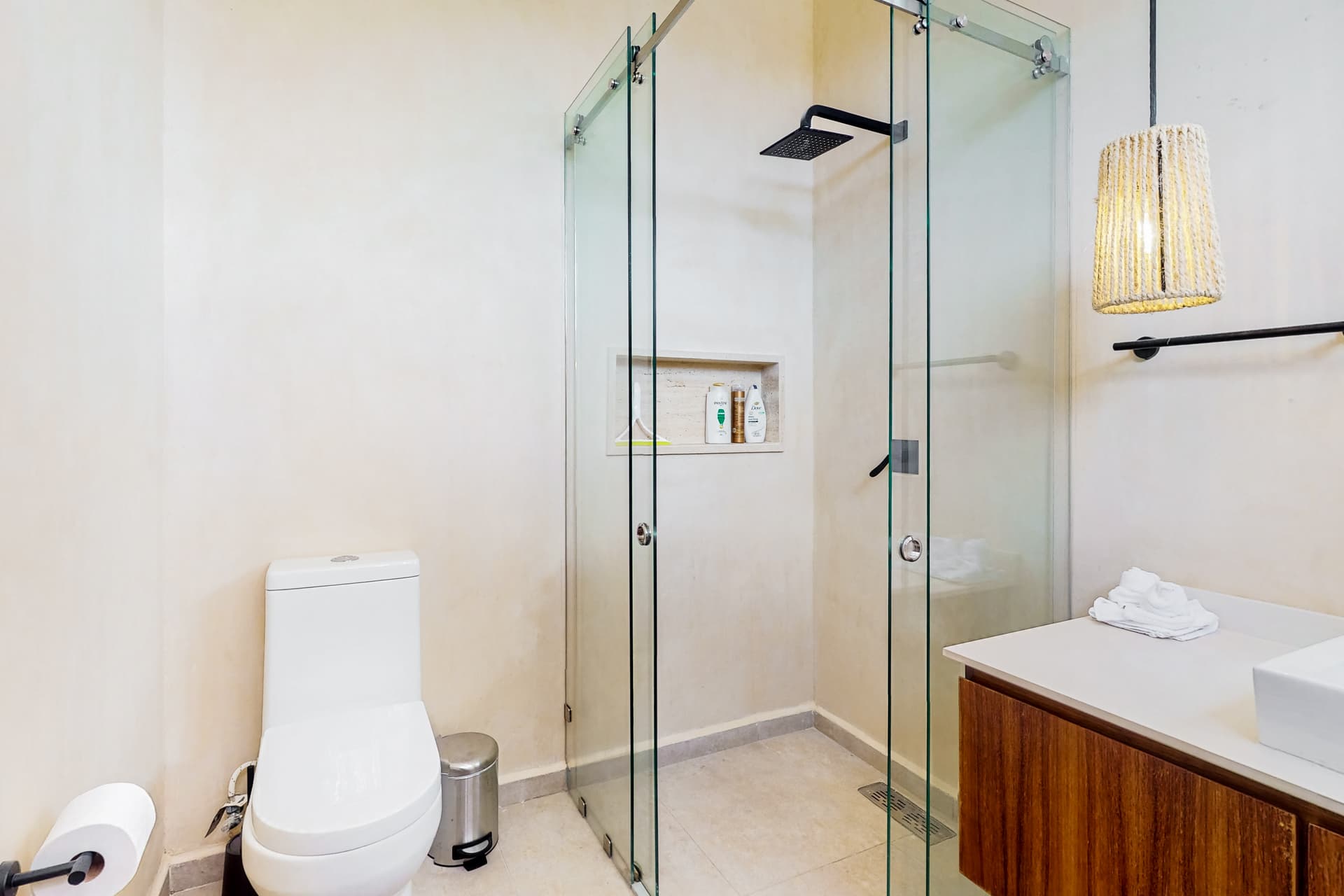 Fronds and Sun - Image 15