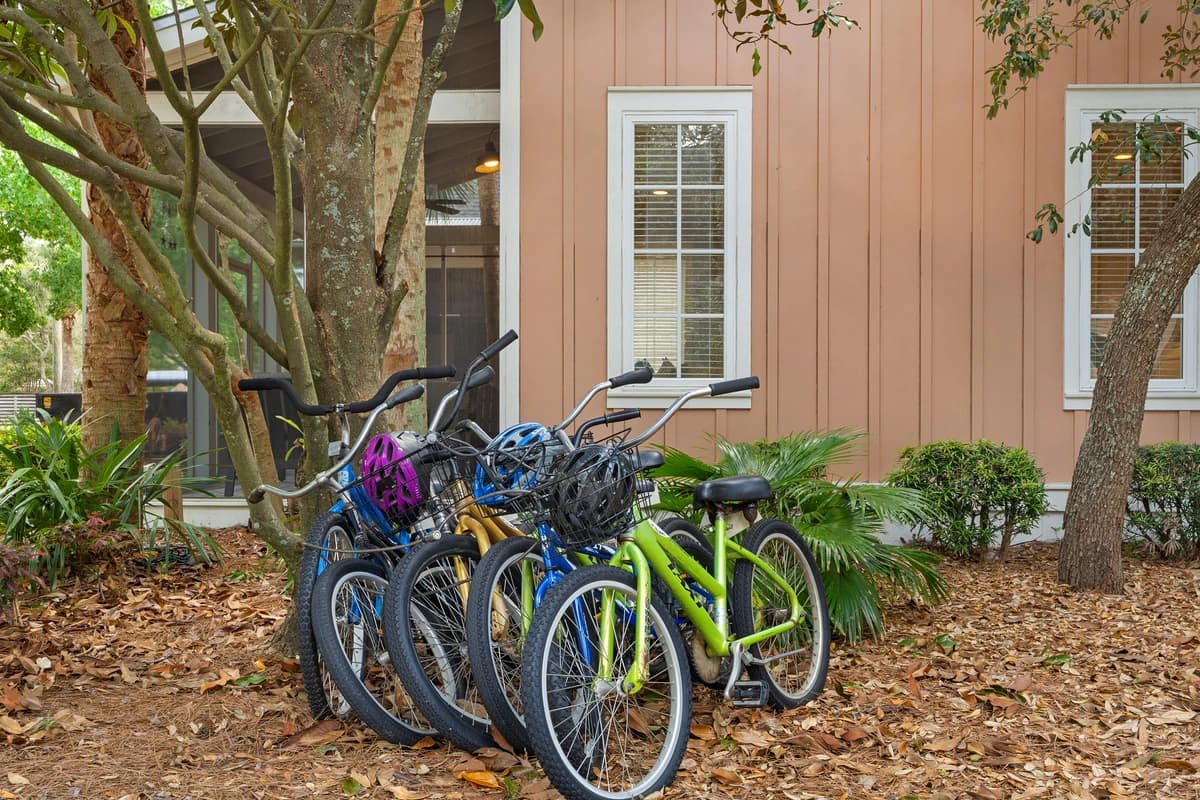 Coral Starfish - Image 22