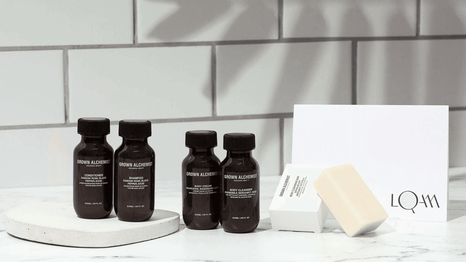 Silver Sun - Image 19